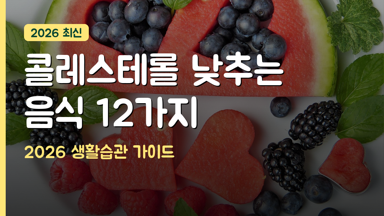 콜레스테롤 낮추는 음식과 생활습관 완전 가이드 2026