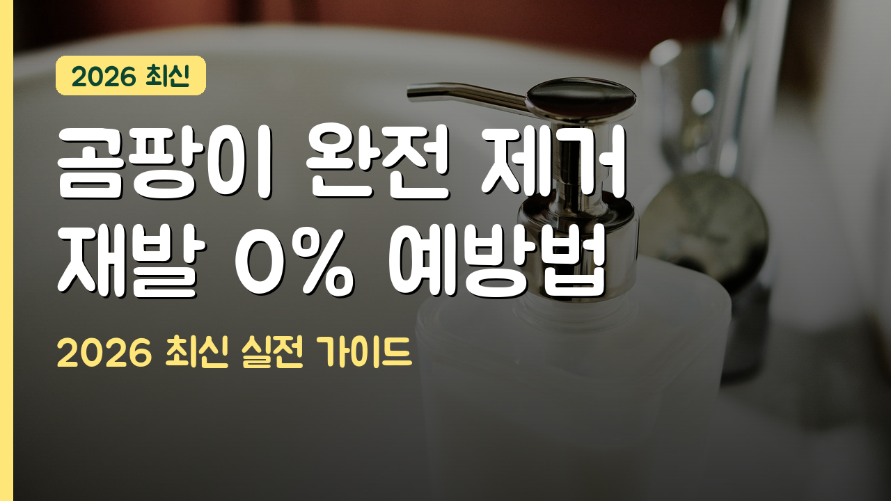 곰팡이 제거 방법과 다시 안 생기게 하는 완벽 예방 팁 2026